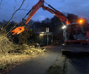 Arbeiten mit einem Fällgreifer