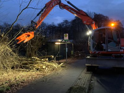 Arbeiten mit einem Fällgreifer